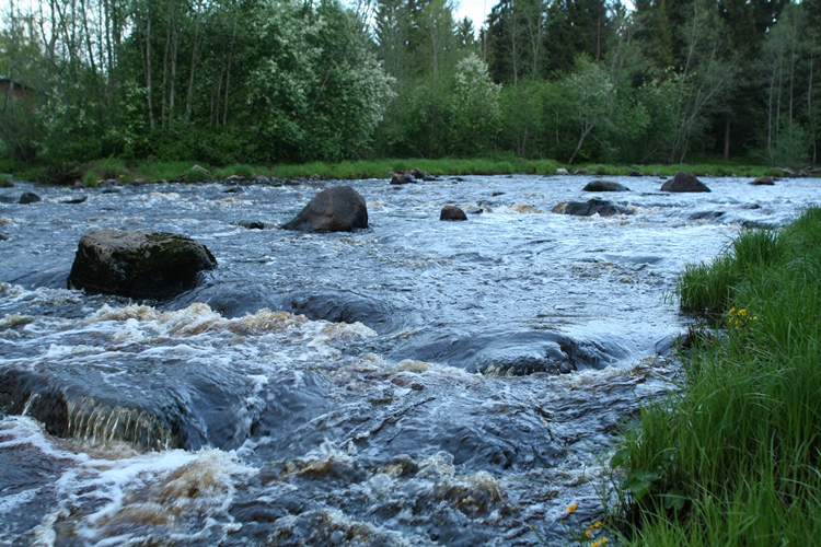 Niskakoski, a restored riffle section in River Vääräjoki in western Finland (photo: Jukka Aroviita)