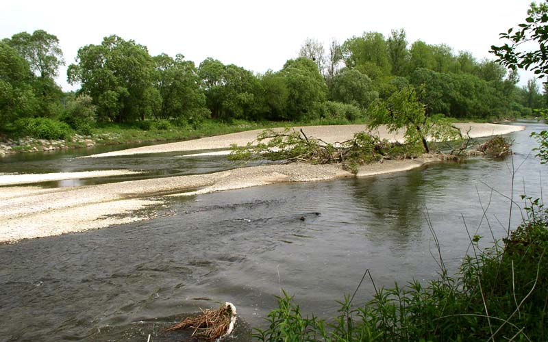 Hydromorphological dynamics in re-naturalized section of Becva River near Cernotin